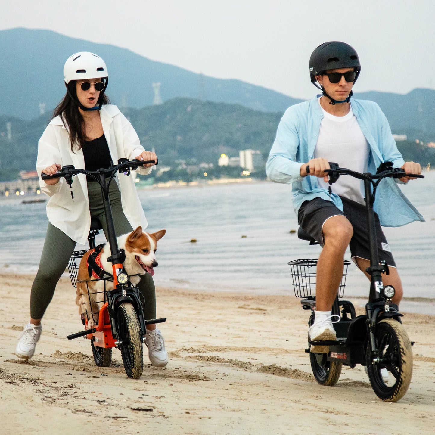 Electric Bike Multi-Shock Absorption City Commuter 48V 500W Ebike with Basket